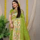 Parrot Green__Royal Rajgharana Sarees
